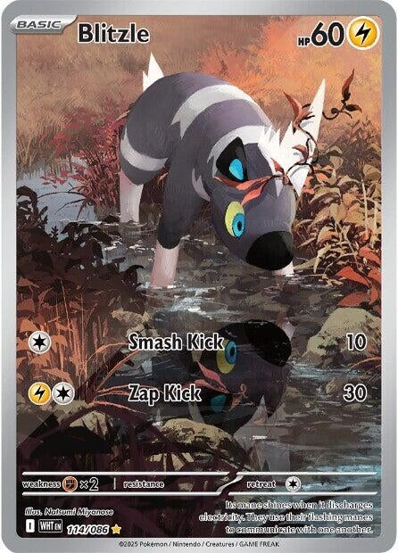 Image for Blitzle (114/086) (WHT) - Pokemon