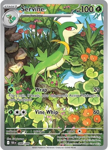 Image for Servine (088/086) (BLK) - Pokemon
